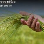 ID in PM Kisan Yojana(প্রধানমন্ত্রী কিষান যোজনায় আইডি)